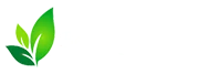 BestOrganicFood.sg